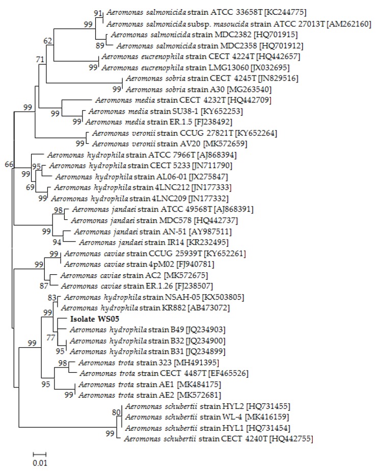 Figure 6