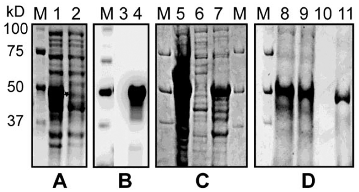 Figure 2.