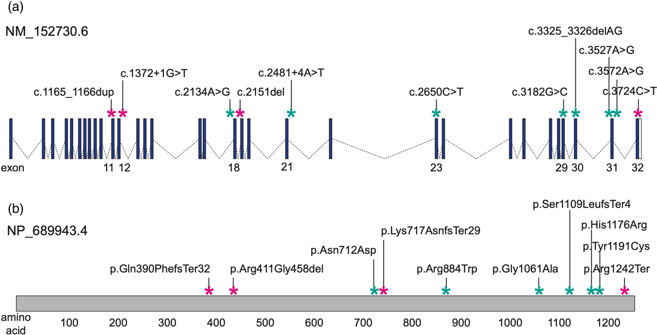 FIGURE 1