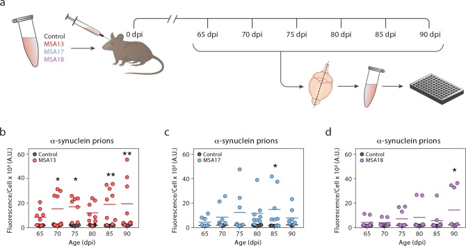 Fig 4