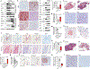 Fig. 4 |