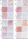 Extended Data Fig. 7 |