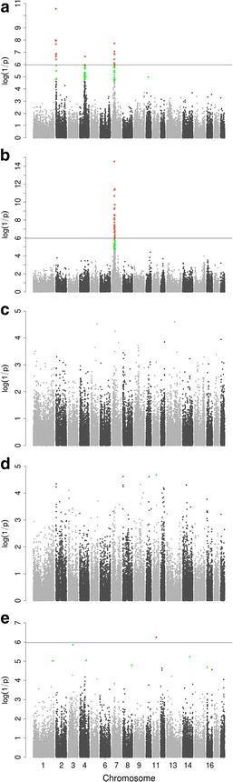 Fig. 2