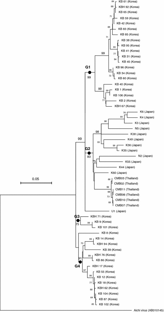 Fig. 1