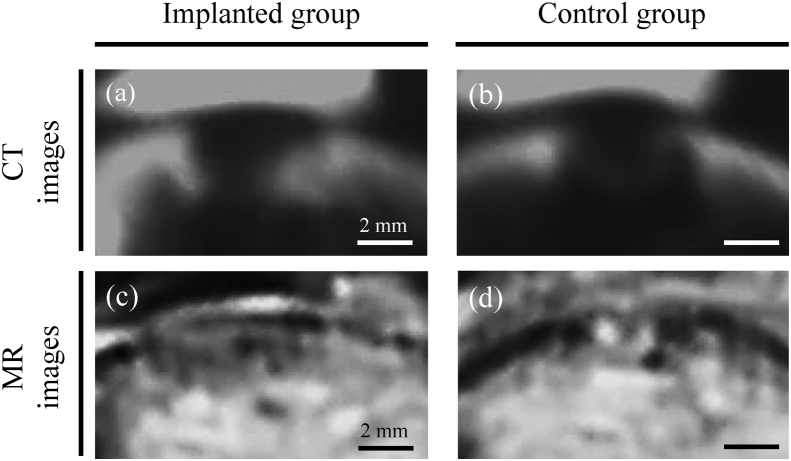 Fig. 7