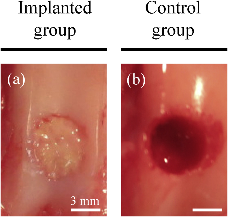 Fig. 2