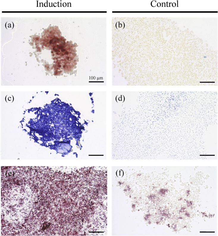 Fig. 4