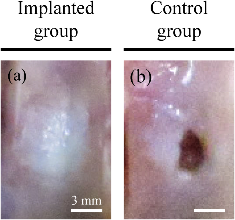 Fig. 9