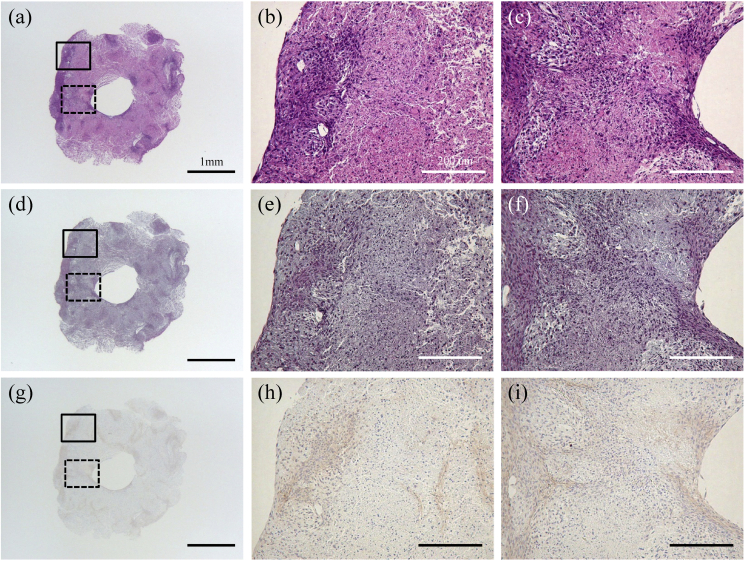 Fig. 6