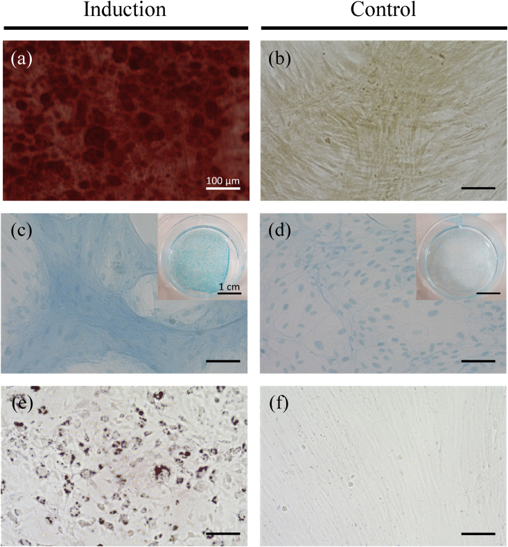 Fig. 3