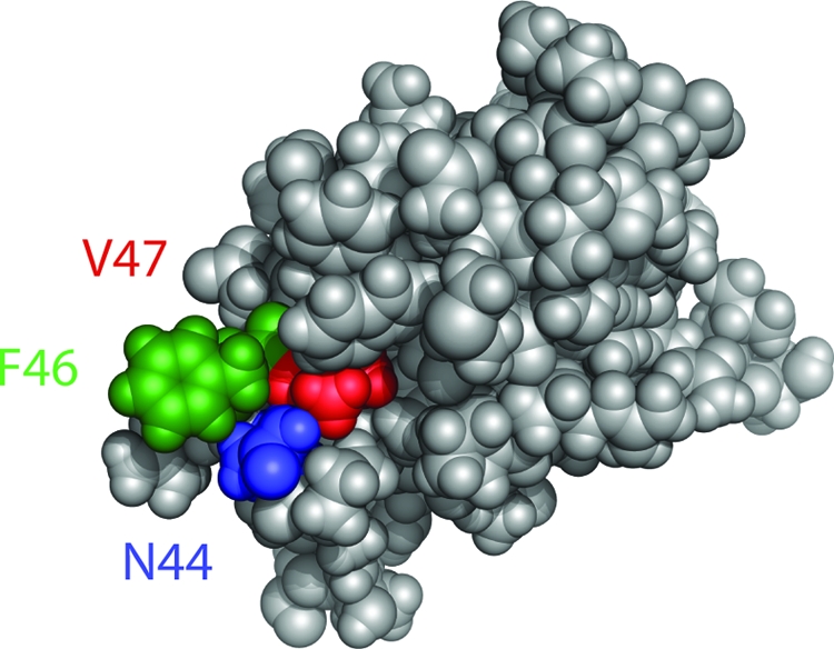 FIG. 2.