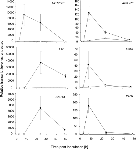 Figure 7.