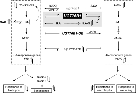 Figure 12.