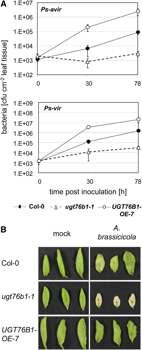 Figure 3.