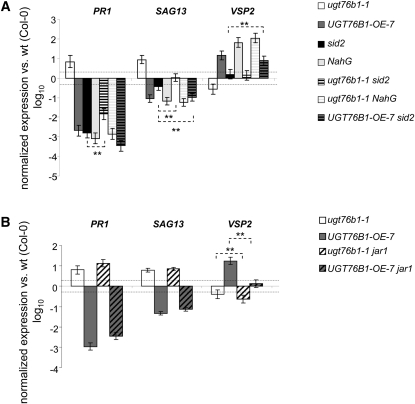 Figure 6.