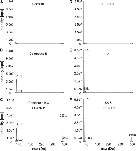 Figure 10.