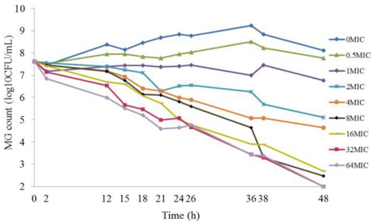 FIGURE 1