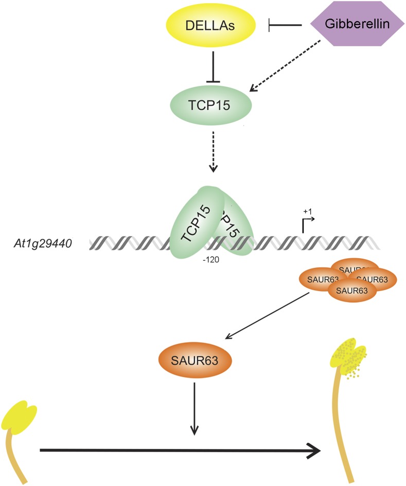 Figure 7.