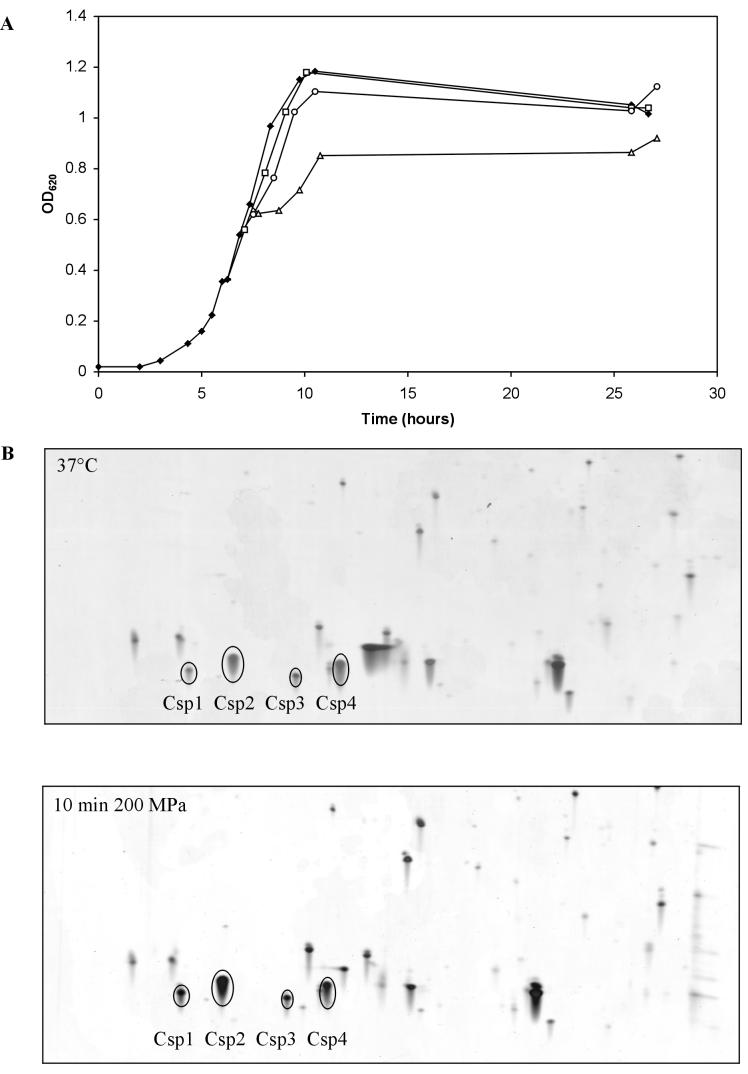 FIG. 5.