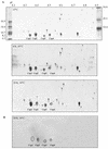FIG. 3.