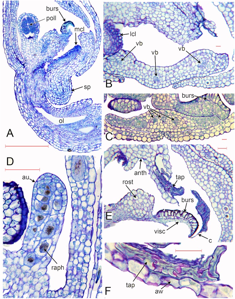 Figure 6