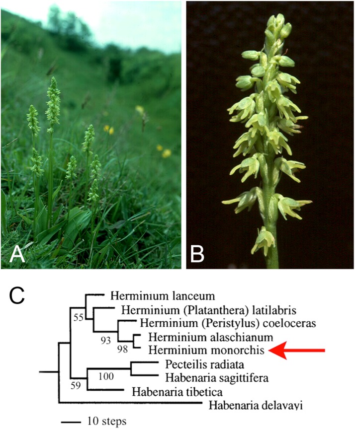 Figure 2