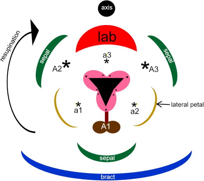 Figure 1