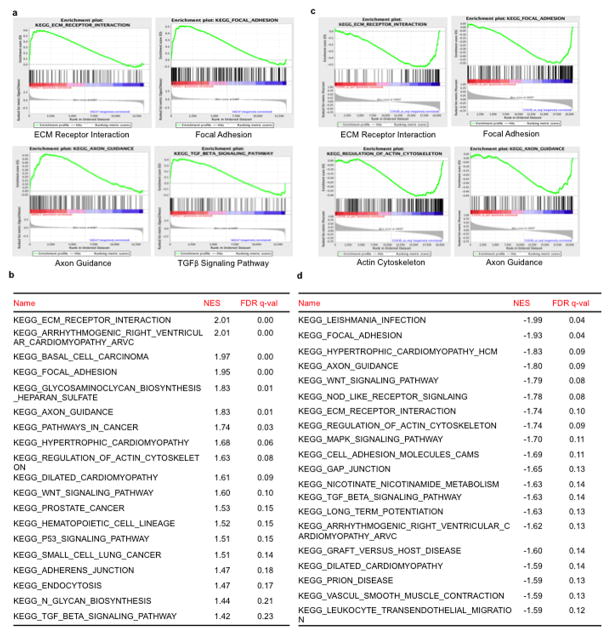 Extended Data Figure 1