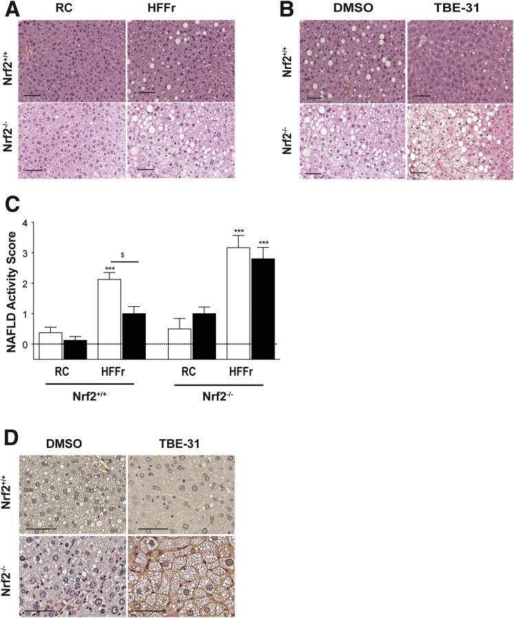 Figure 15