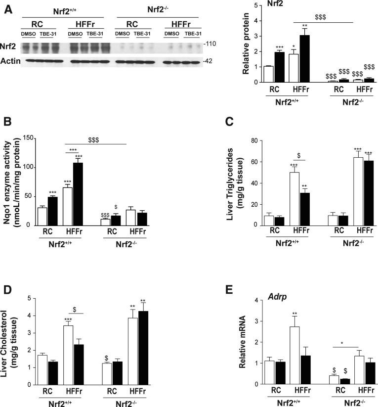 Figure 16