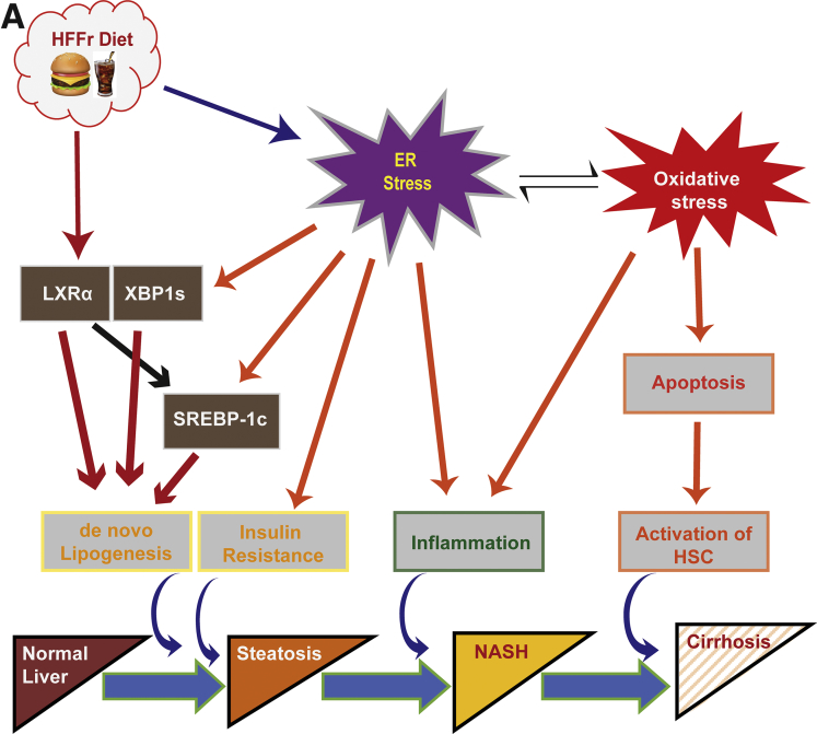 Figure 20