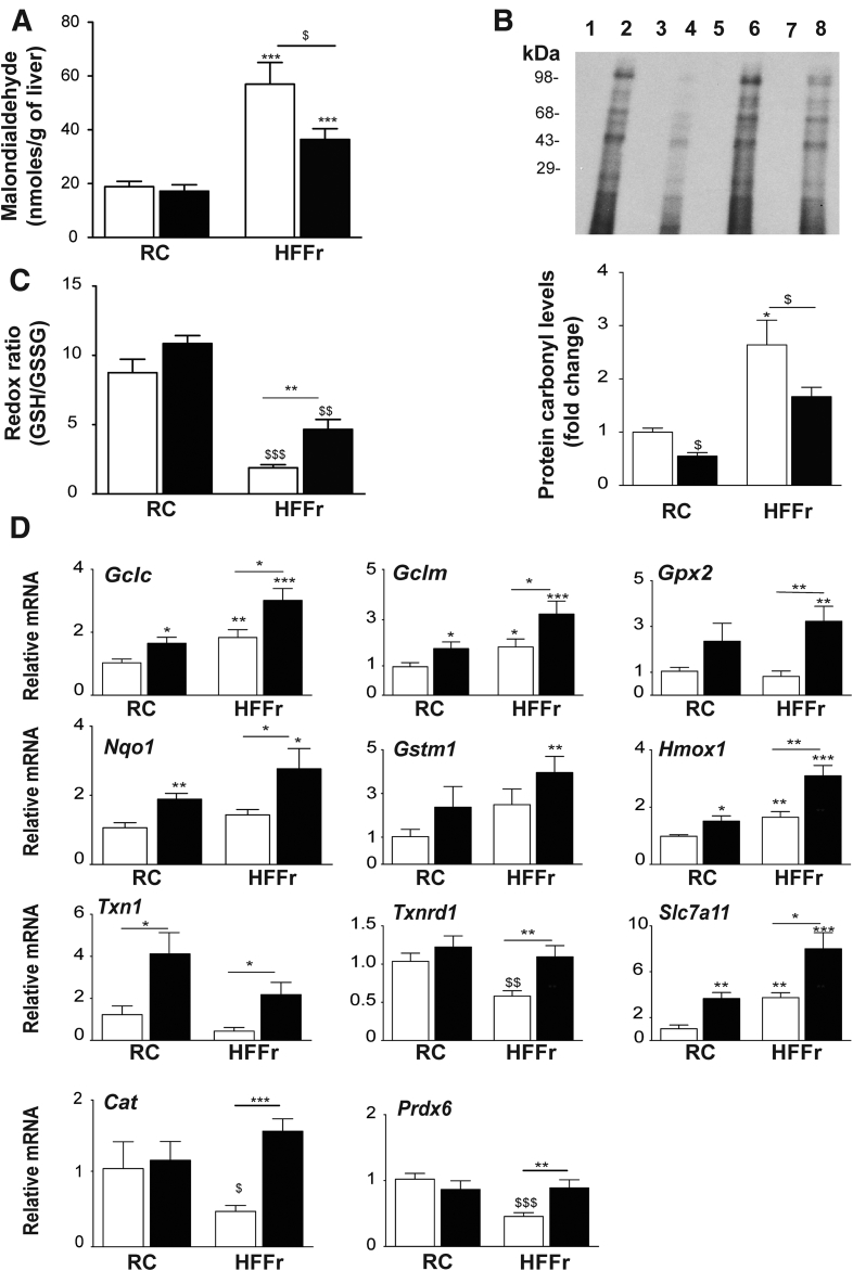 Figure 13