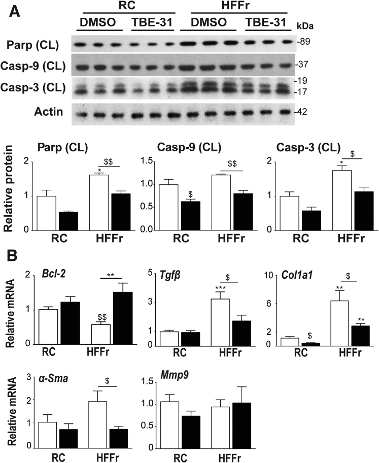 Figure 12