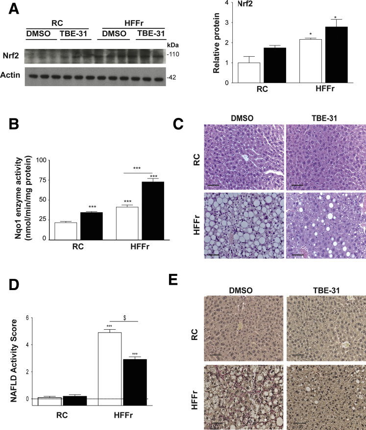 Figure 6