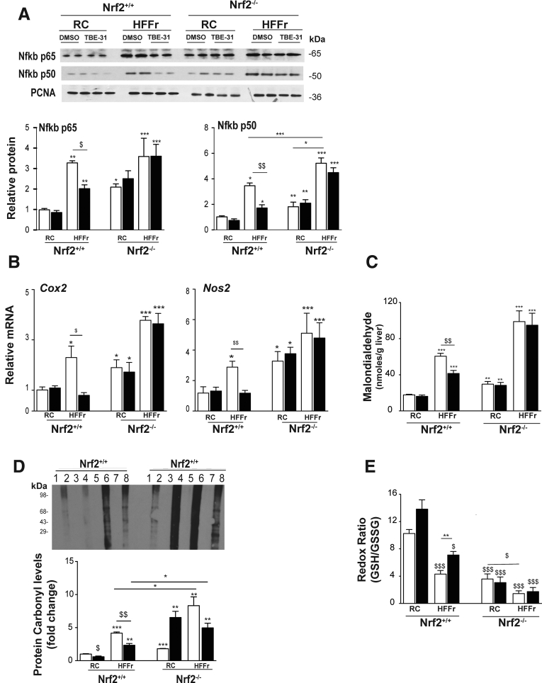 Figure 19