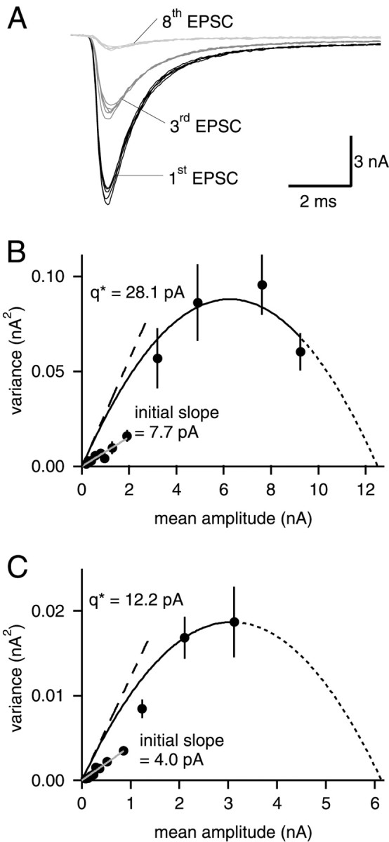 Fig. 5.