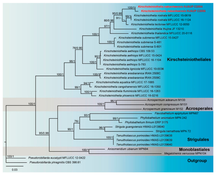 Figure 2