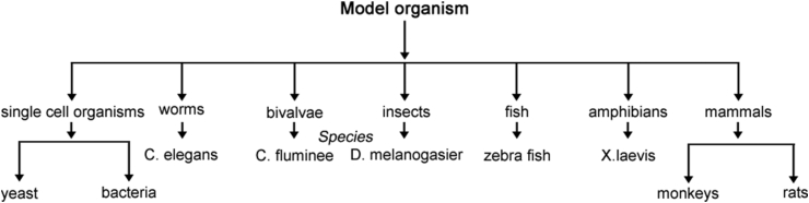 Fig. 8