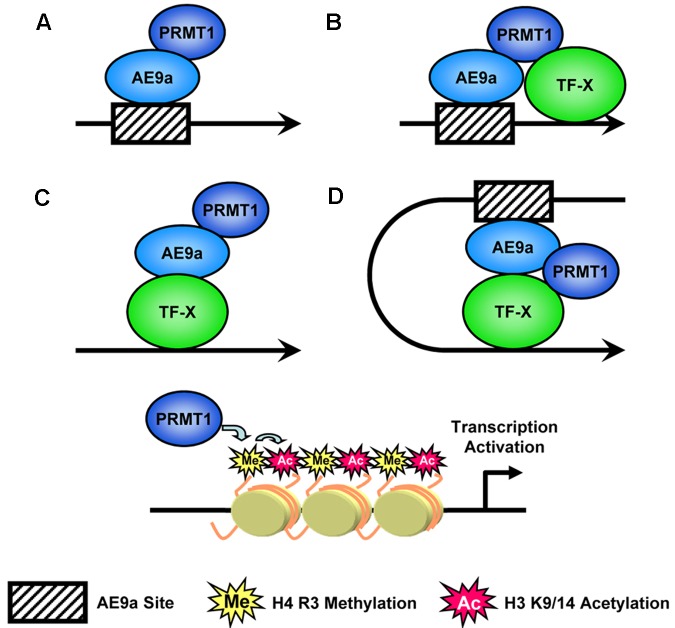 Figure 7