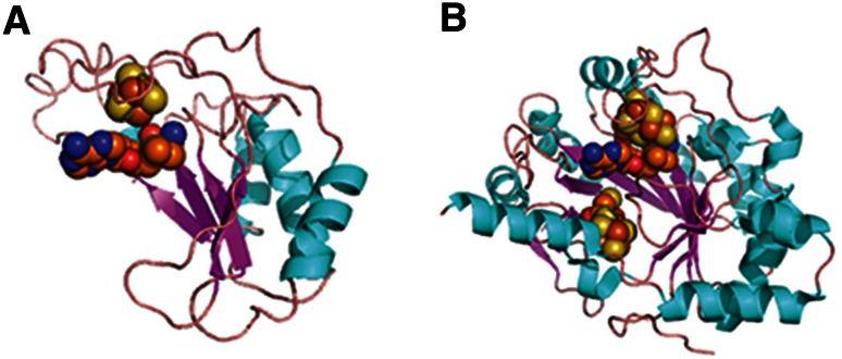 Fig. 5