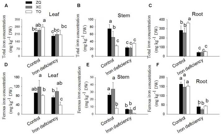 FIGURE 3