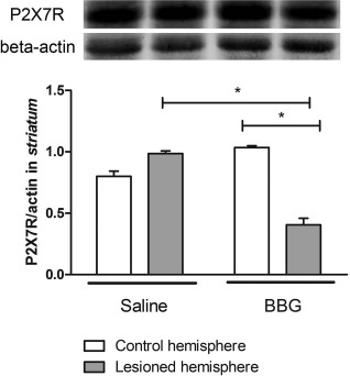 Figure 5.