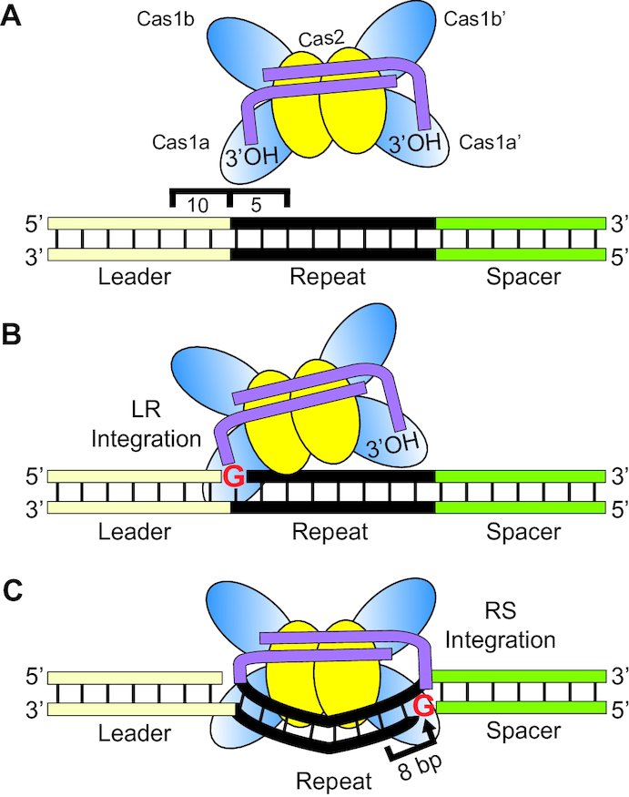 Figure 9.