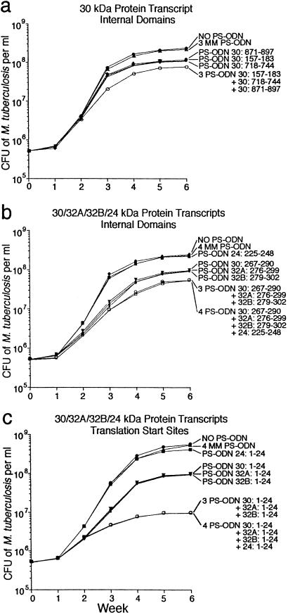 Fig 1.