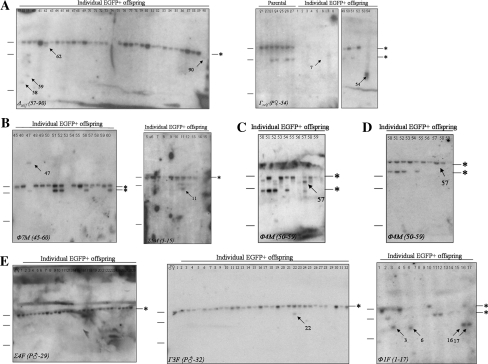 Fig. 4