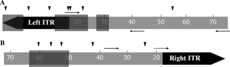 Fig. 7