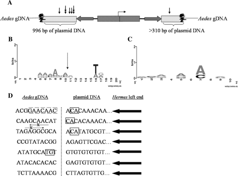 Fig. 6