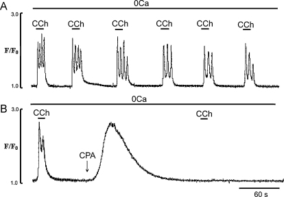 Fig. 5