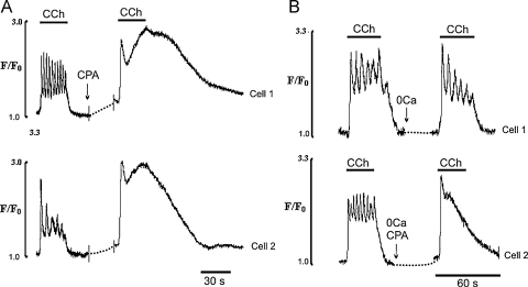 Fig. 9