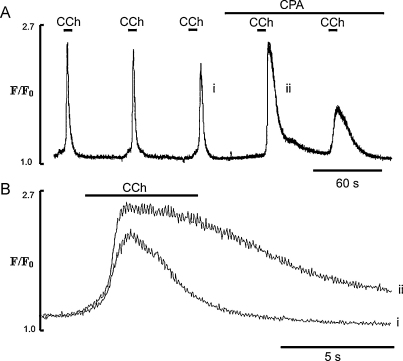 Fig. 10